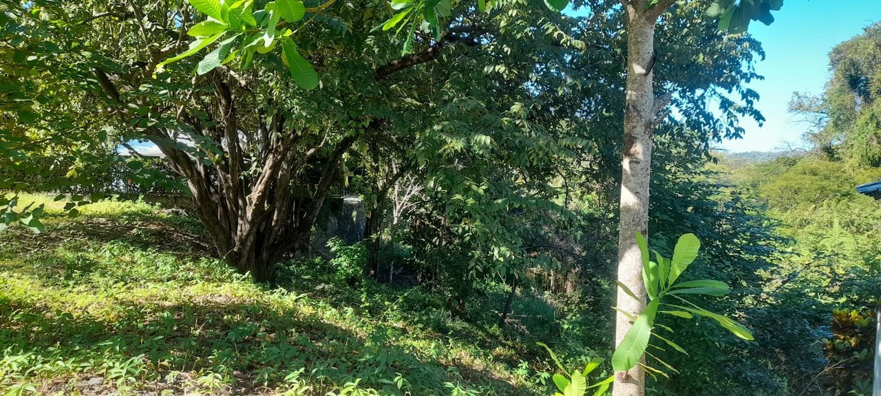 Playa Carrillo Lot: 200 meters to Playa Carrillo - Gallery image 8