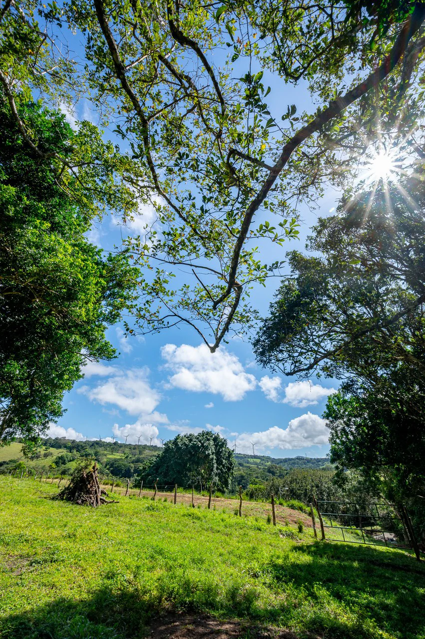 LA CABAÑA - COUNTRY ESTATE WITH HUGE POTENTIAL - Gallery image 50