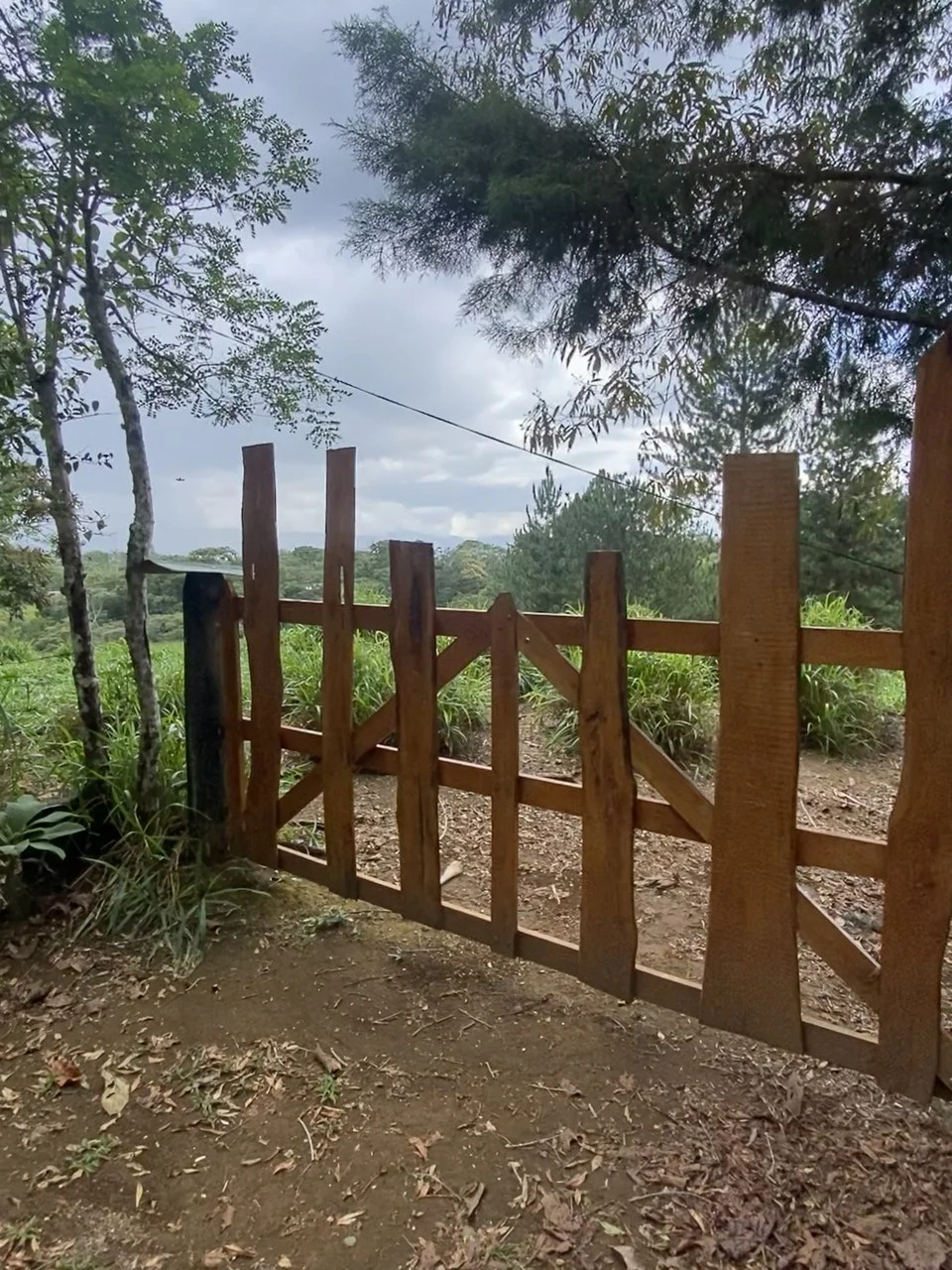 54 Acre Ranch in San Vito, Coto Brus - Gallery image 28