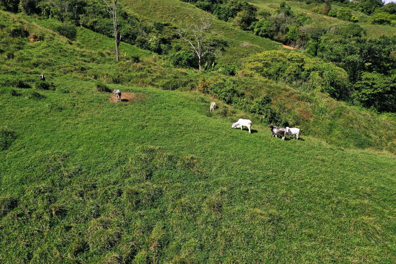 150 Acre Cattle Ranch with Panoramic Views Above the mountains of Uvita - Gallery image 27