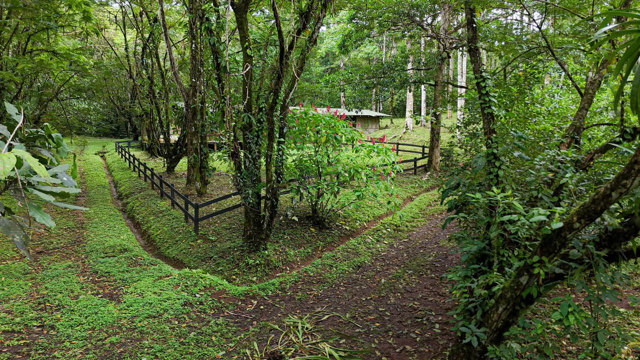 Finca Macadamia: 154-acre Rainforest Paradise with two Houses and Trails! - Gallery image 13