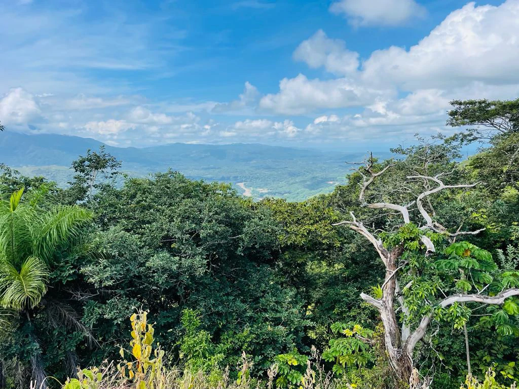 Lot for sale in Residencial Vista Mar Ocean and mountains view between San Mateo and Orotina Alajuela Costa Rica - Gallery image 9