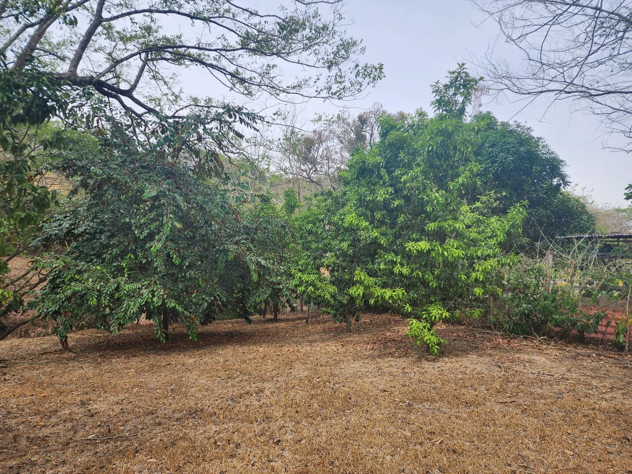 Countryside and Mountain Home Construction Site For Sale in San Juan de Mata - Gallery image 7