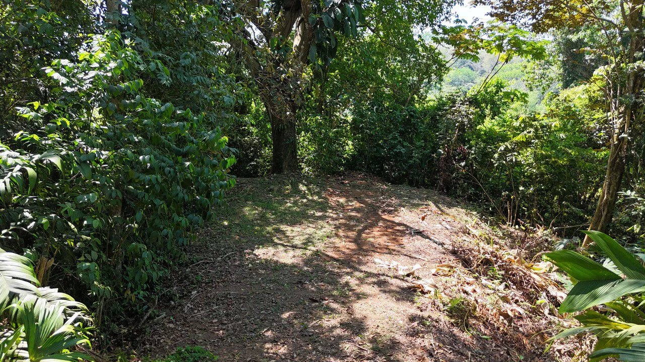 Exceptional Development Opportunity 71 acre Riverfront & Ocean View in Hatillo - Gallery image 27
