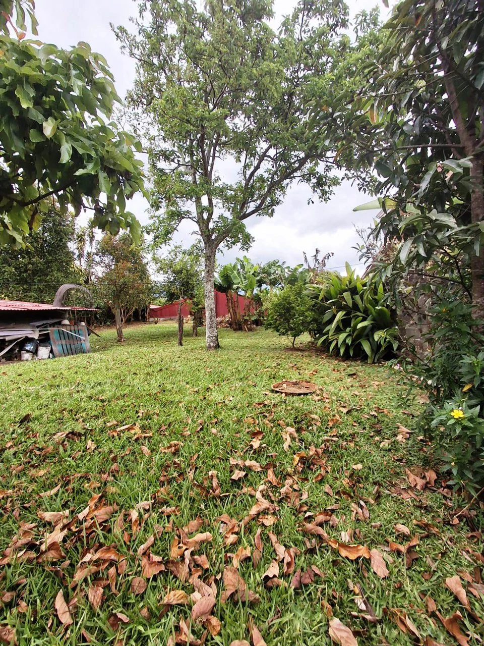 Casa Convenience: Grecia Garden Home on Large Lot + Rental Apartment! - Gallery image 16