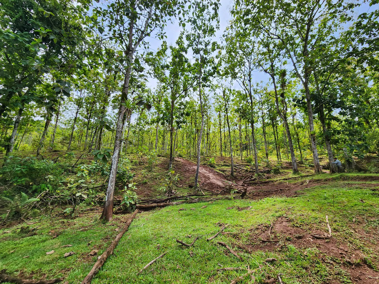 PRIME PARRITA FARM FOR SALE - Gallery image 30