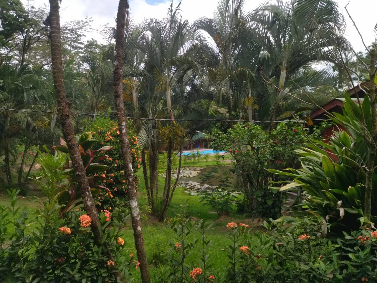 Pristine Business for Sale in Santo Domingos Forest, 3 cabins surrounded by wild nature, Tilapia lake with a dock, and a Restaurant - Gallery image 12
