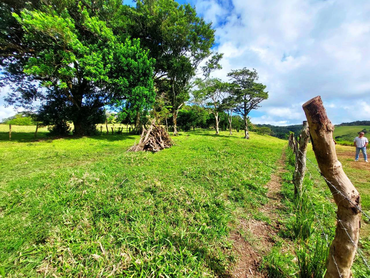 LA CABAÑA - COUNTRY ESTATE WITH HUGE POTENTIAL - Gallery image 17