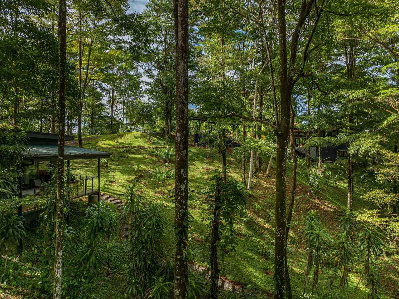 La Sombra Villas: Where Nature Meets Comfort in Tinamates! - Gallery image 68