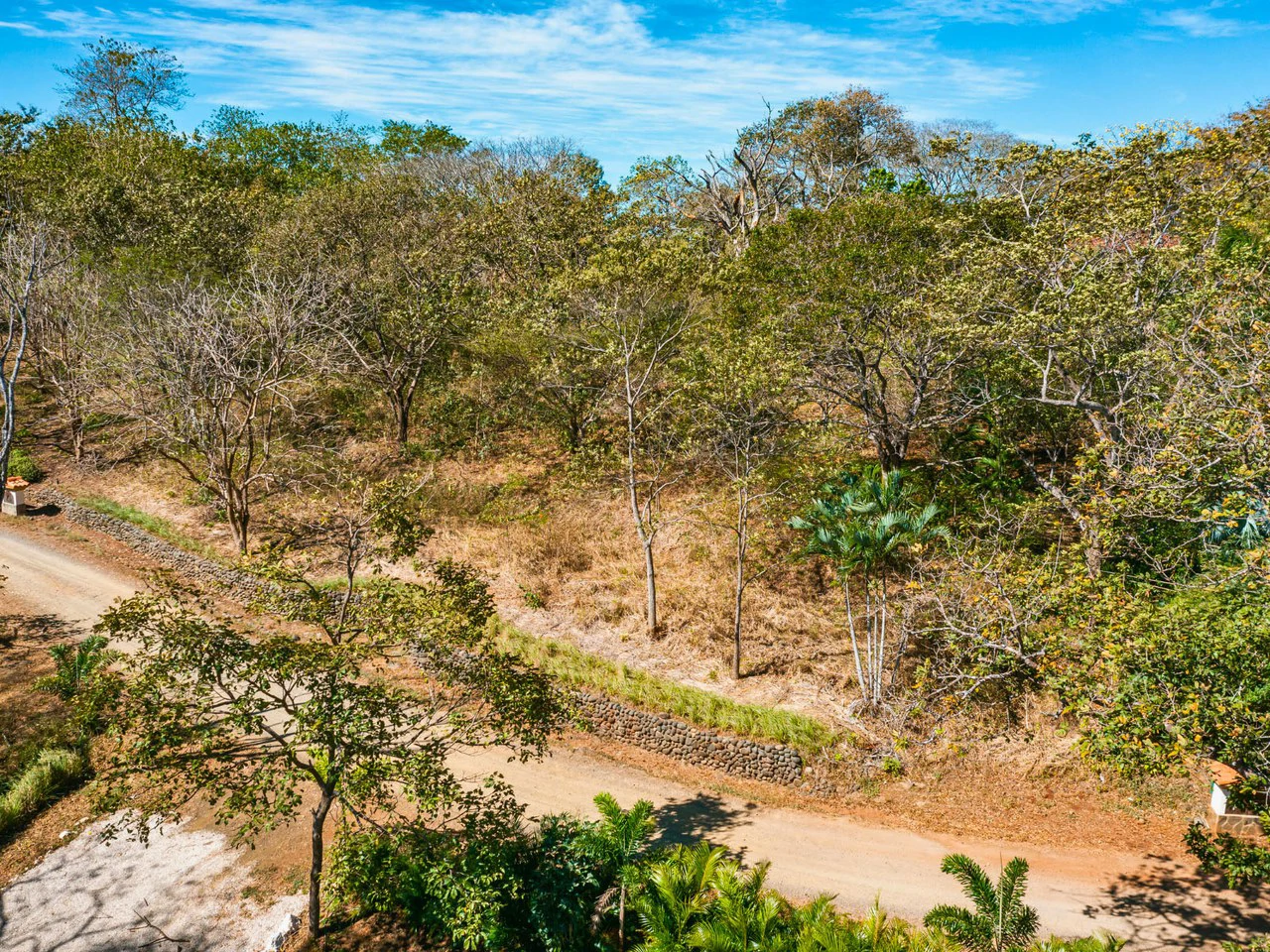 Tierra Pacifica #9: Secluded Lot in Gated Eco Community - Gallery image 7