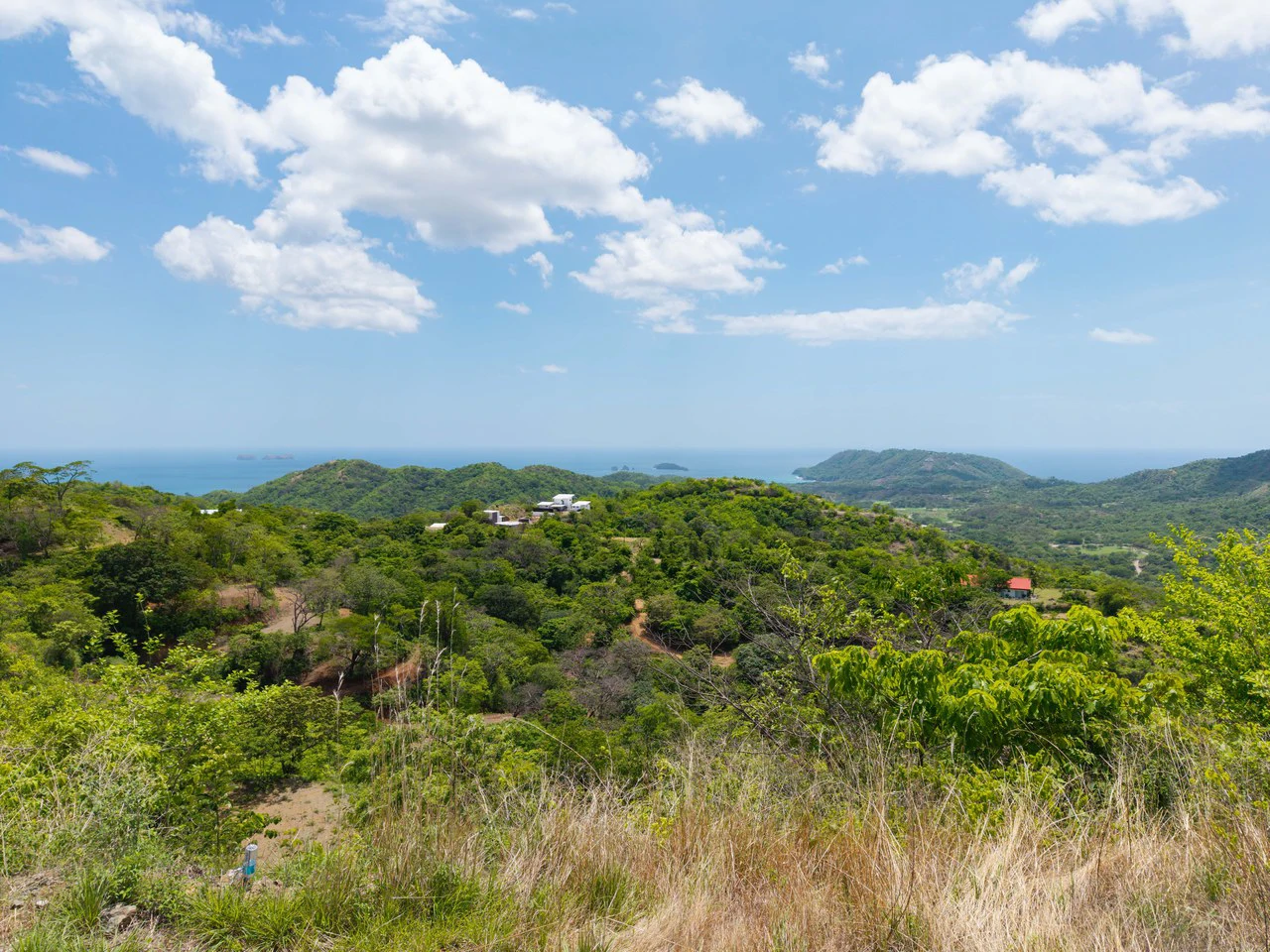 Miramar Ocean View Lot: Unmatched Views from this Spectacular Piece of Land in Pacific Heights - Gallery image 11
