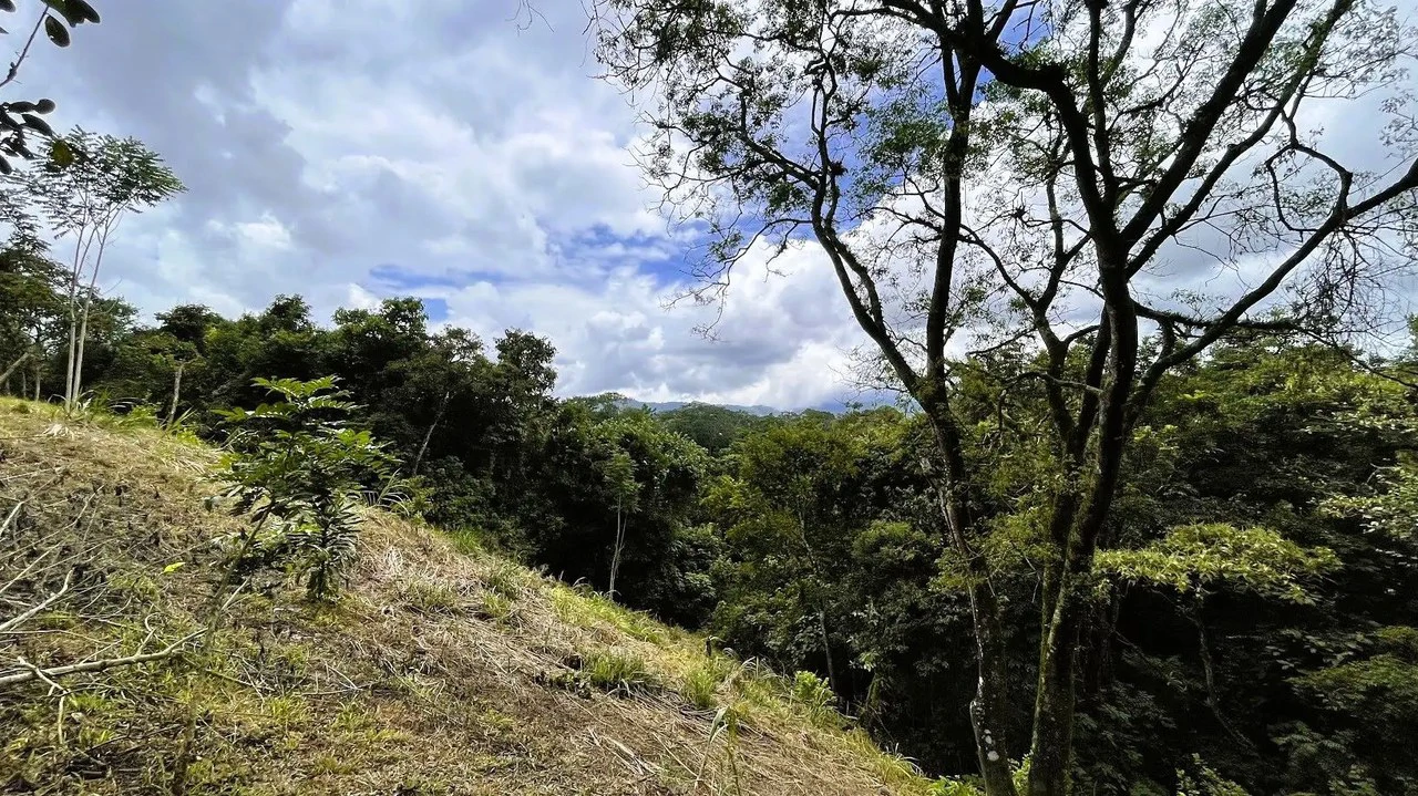 LAND FOR SALE IN SAN MIGUEL, NARANJO - Gallery image 14