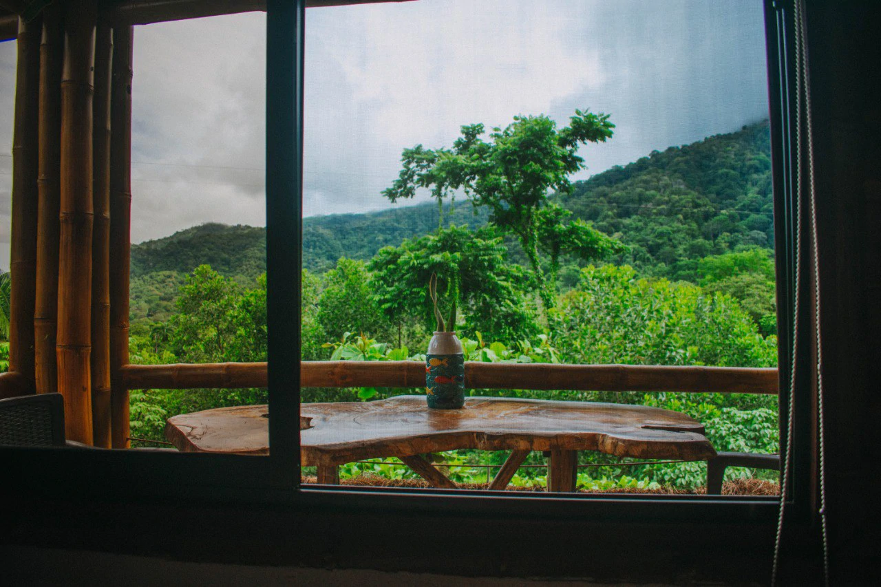 Cabinas Bambura: Cabinas Bambura: Successful Airbnb Business with Stunning Mountain & Jungle View - Gallery image 30