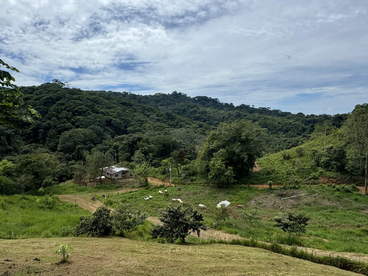 2.6 ACRES – 3 Bedroom Home With Beautiful Views, Several More Building Sites, Perfect For Small Farm!!! - Gallery image 28