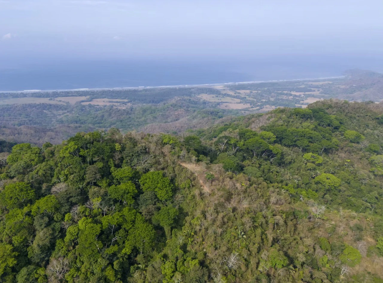 Ocean view farm for sale Costa Rica San Miguel Beach Costa de Oro - Gallery image 17