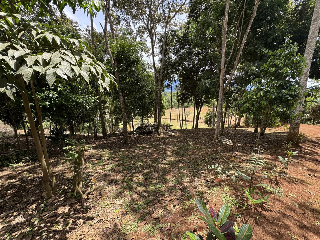 Prime 40,000 Sq. Ft. Building Lot with Mountain & Valley Views in Pérez Zeledón - Gallery image 17