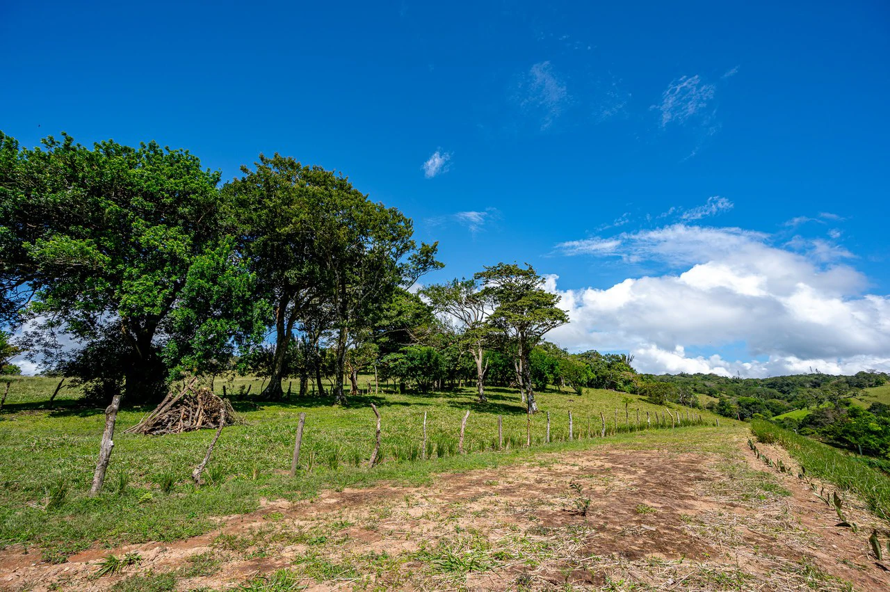 LA CABAÑA - COUNTRY ESTATE WITH HUGE POTENTIAL - Gallery image 32