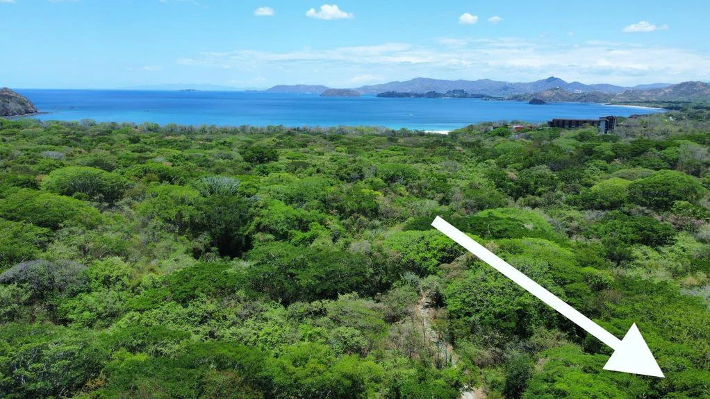 5.67 Hectares in Puerto Viejo: Prime Development Parcel Just 2 Mins from the Beach - Gallery image 10