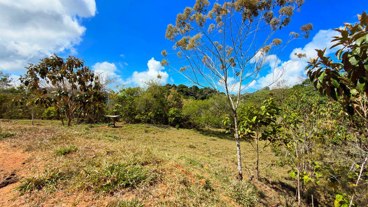 2.8 HA FARM FOR SALE IN SAN LUIS DE MORETE | MOUNTAIN VIEWS AND NEAR THE OCEAN - Gallery image 22