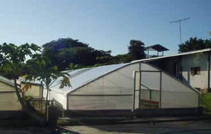 Spirulina Farm for Sale in Liberia, Guanacaste – Productive, Sustainable Business Ready to Generate Income - Gallery image 4