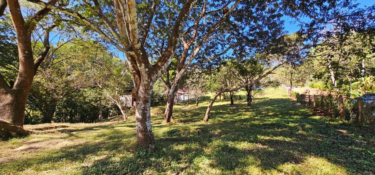 Nature's Gateway: Smart Choice Mixed-Use Property Near Carrillo Beach: Countryside Home Construction Site For Sale in Playa Carrillo - Gallery image 6