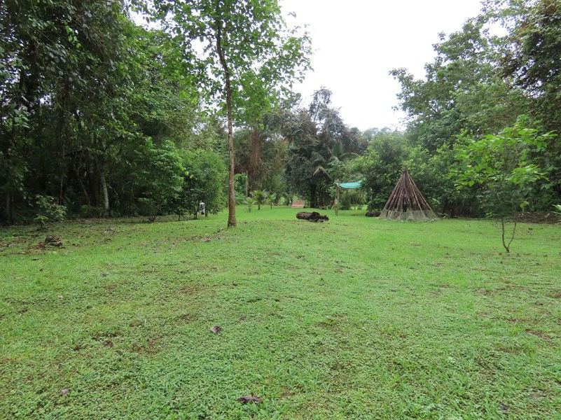Land For Sale in Dos Brazos, Puerto Jimenez, Ideal For Home Surrounded by Nature - Gallery image 10
