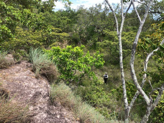 Mountain Farm for Sale in Liberia – Nature, Privacy, and High Investment Potential - Gallery image 26