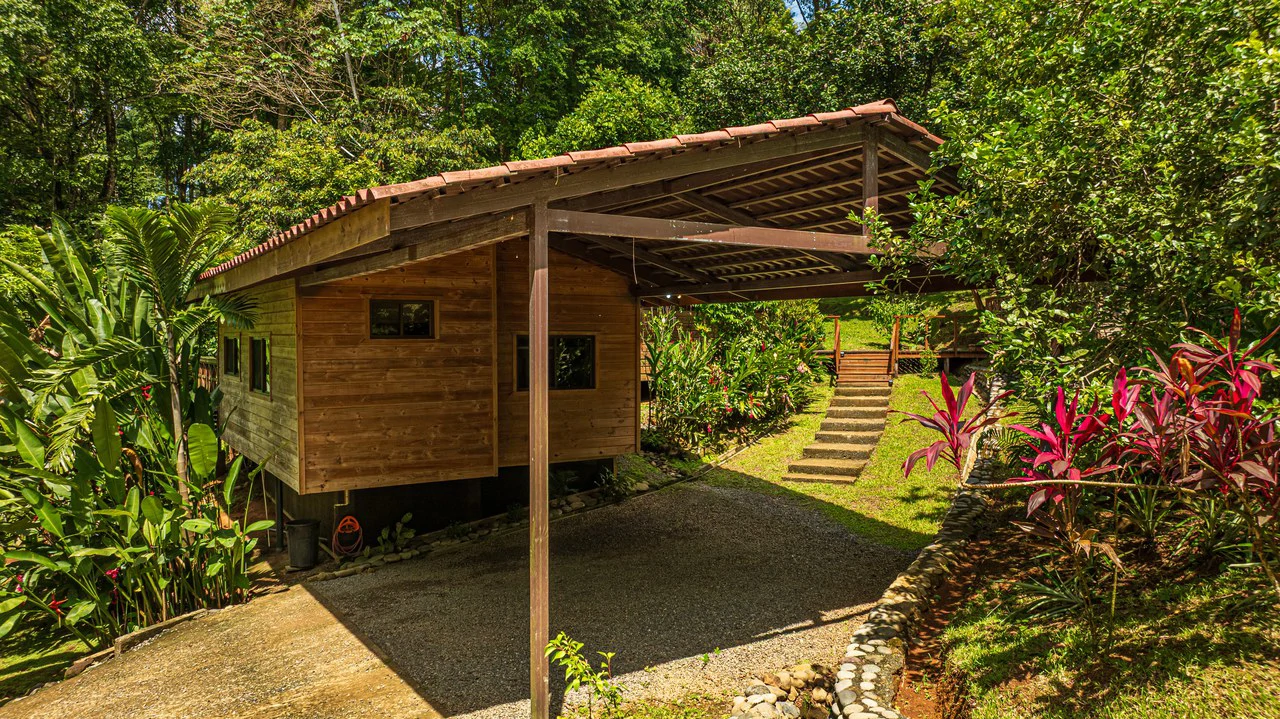 A Jungle House Built of Wood & River Dreams - Gallery image 11