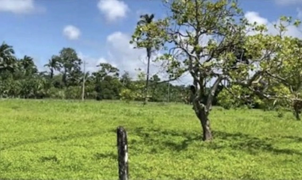 Westfalia, Matama: Countryside and Near the Coast Home Construction Site For Sale in Beverley - Gallery image 10