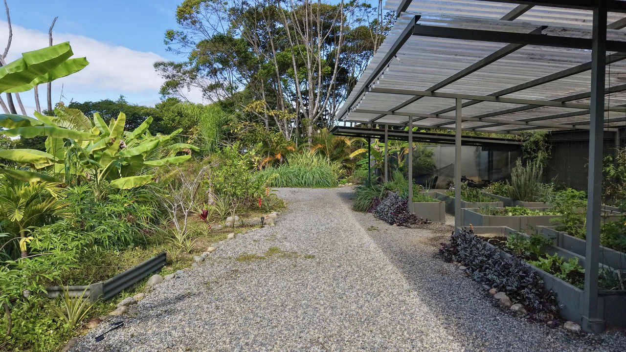 Mountain and Countryside House For Sale in Santa Elena - Gallery image 5