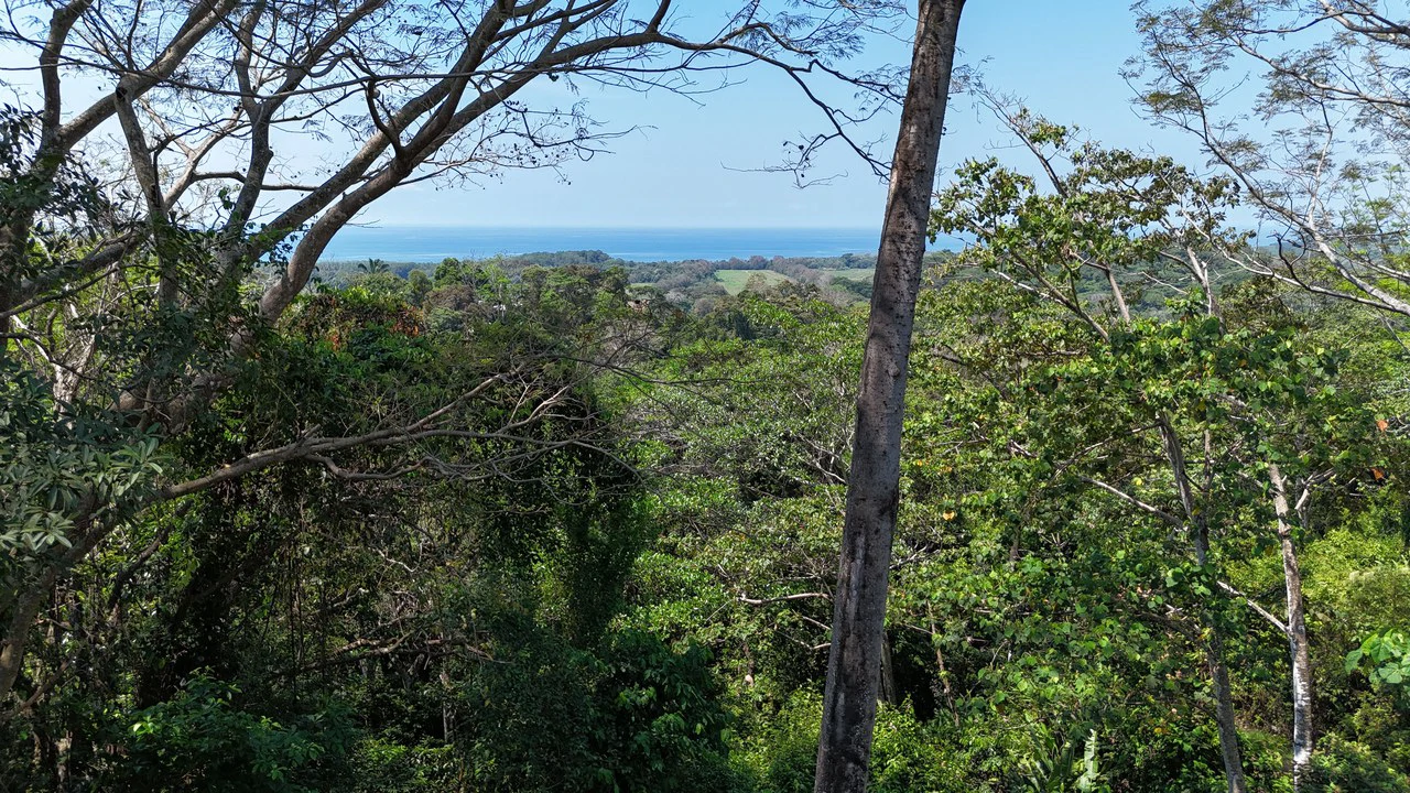 Exceptional Development Opportunity 71 acre Riverfront & Ocean View in Hatillo - Gallery image 28
