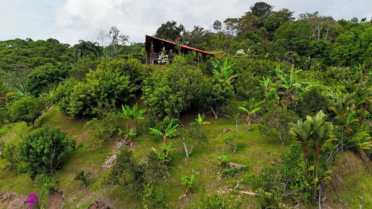 Charming Hardwood Cabin with Fruit Garden Near San Isidro - Gallery image 11