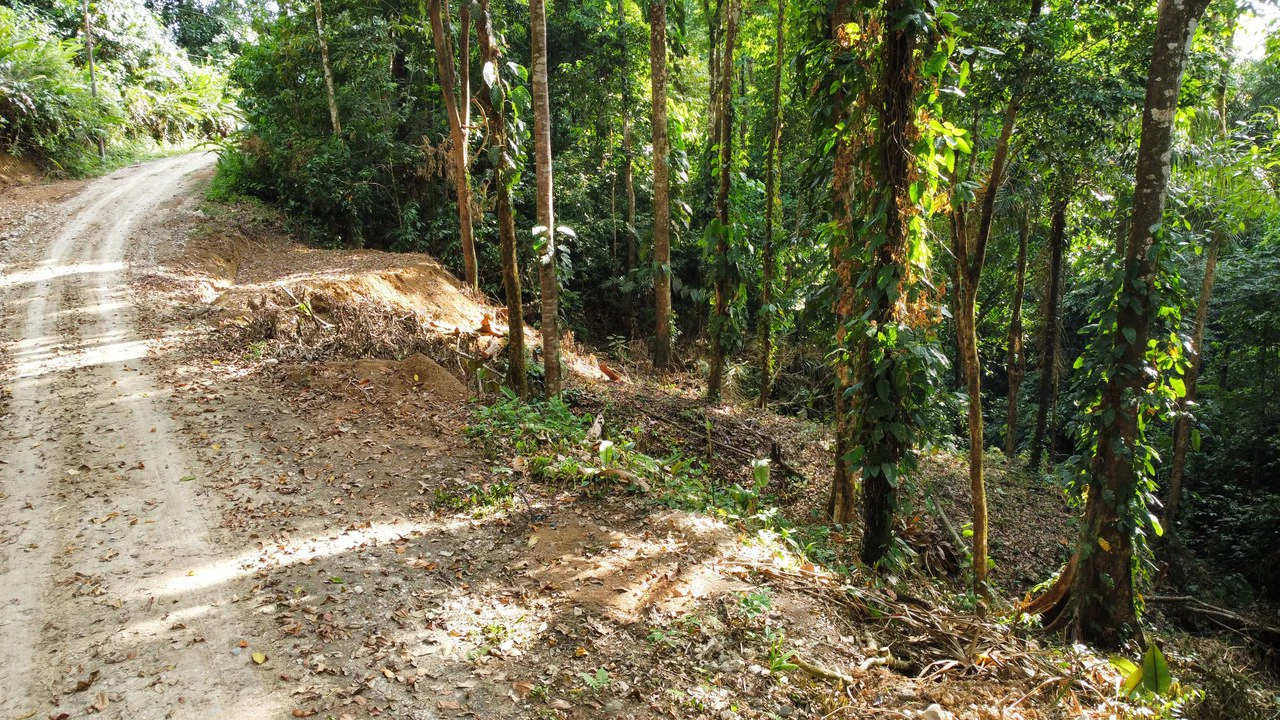 Unique property with creek and waterfall in lush jungle: Mountain Home Construction Site For Sale in Damas - Gallery image 3