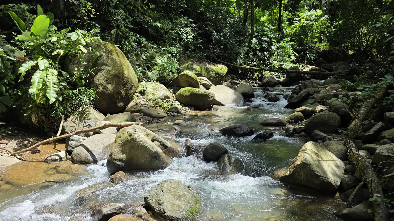 Jungle River Resort: Boutique Jungle River Resort with Pool, Restaurant & Cabinas in Ojochal - Gallery image 44