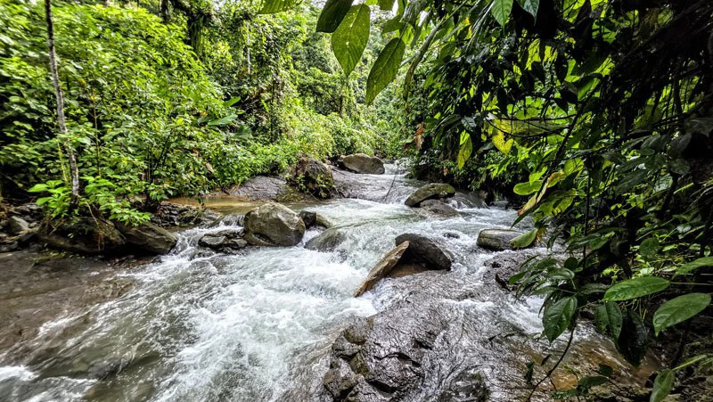 Waterfall Estate, Dos Bocas, Dominical Featuring Twin Waterfalls, Springs, Creeks & Rivers - Gallery image 24