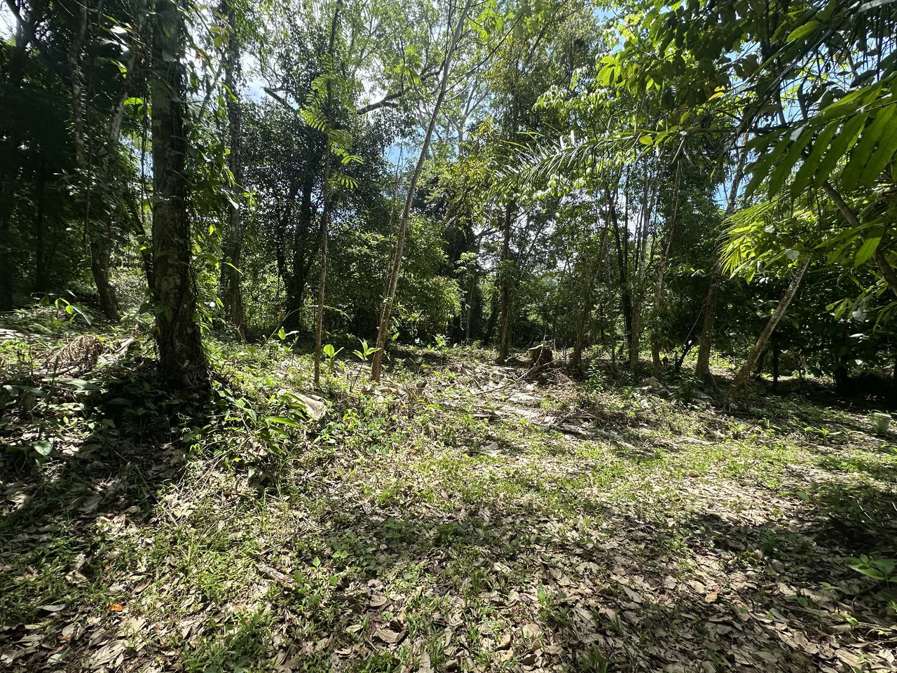 Ocean View Estate Lot with Private Waterfall – Uvita - Gallery image 19