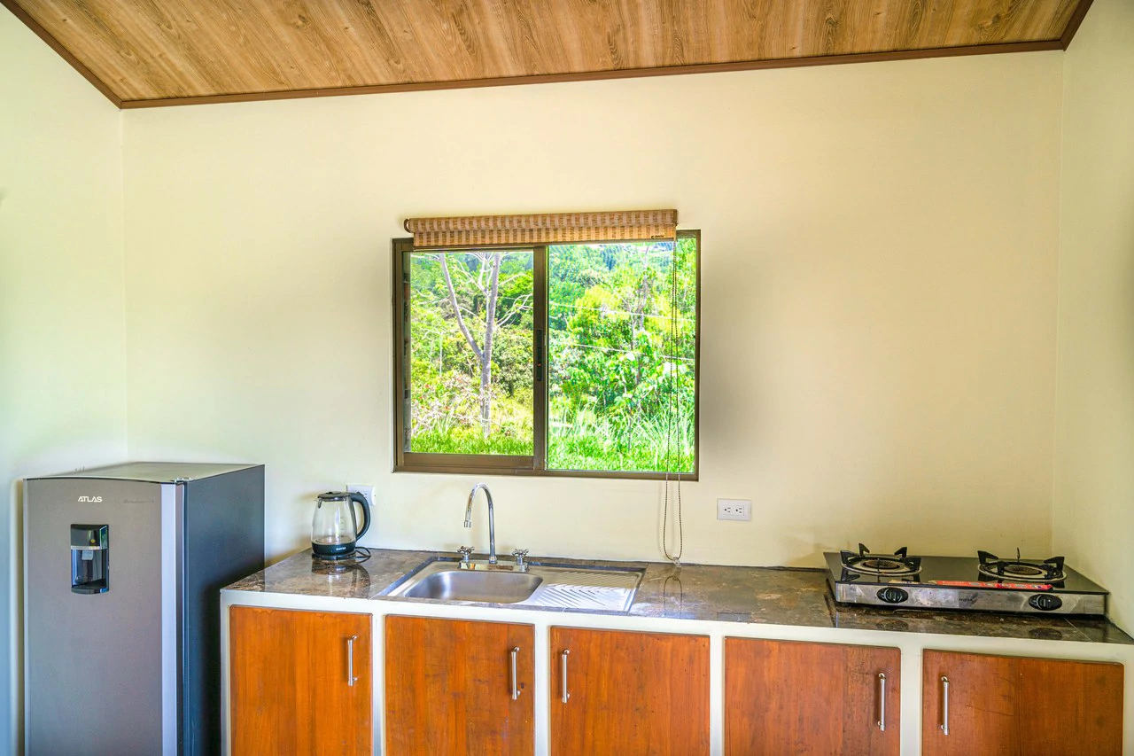 Mountain Mixed Use Building For Sale in Savegre - Gallery image 7