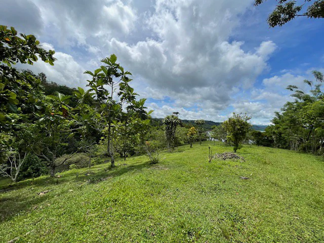 LG-001: Rare 3.36-Acre Lakefront Estate Lot in Nuevo Arenal | Direct Lake Access, Volcano Views & Subdivision Potential - Gallery image 8