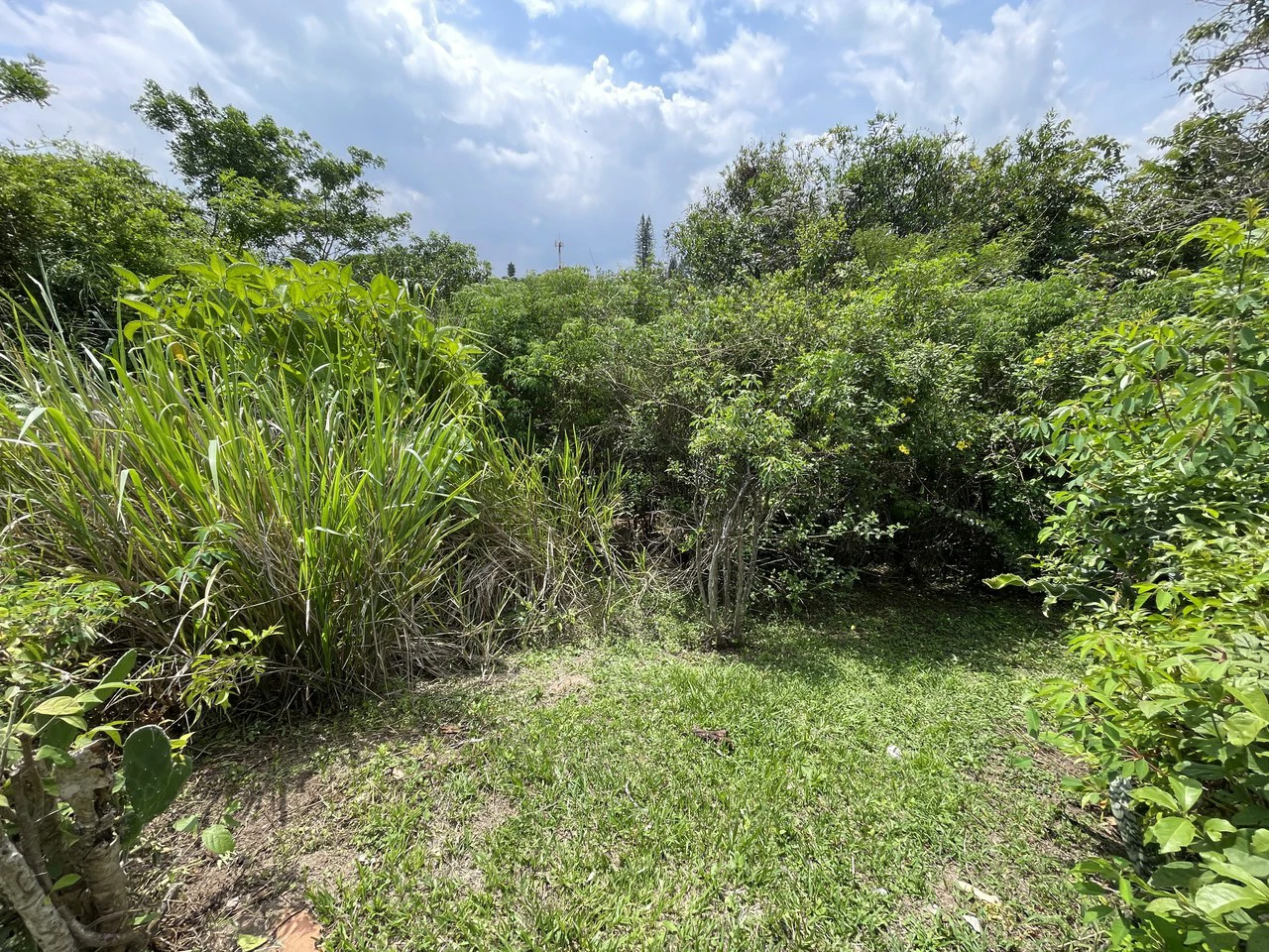 Developemt land 3726: Escazu, San Rafael, development land for sale with a house - Gallery image 5