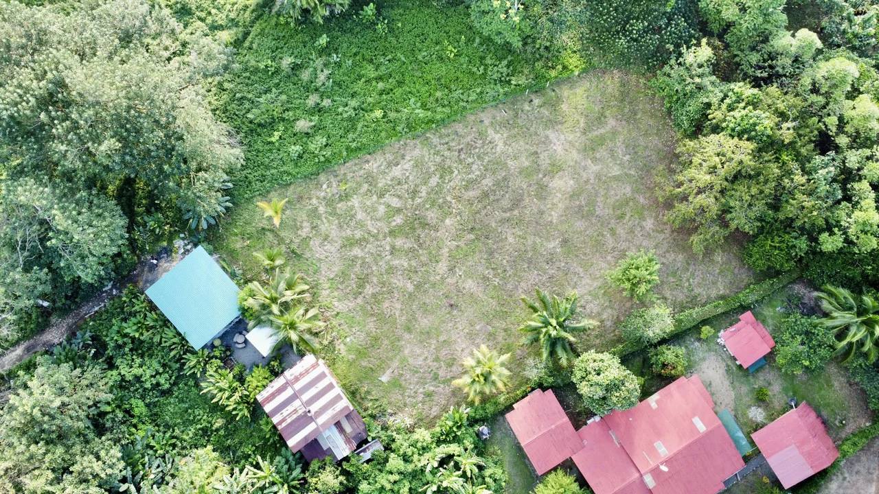 Half-Acre of Usable Land, 3-Minute Walk to National Park Beach!!: Near the Coast Home Construction Site For Sale in Uvita - Gallery image 2