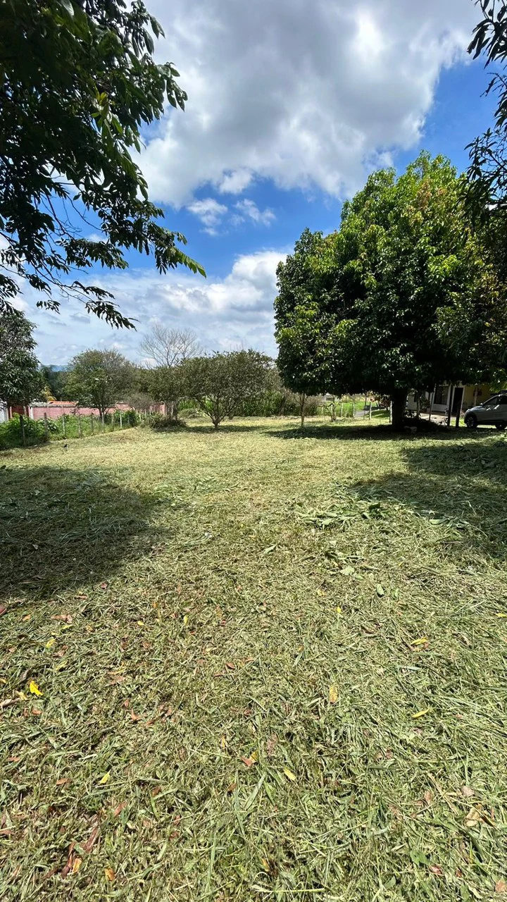 Calas Mixed Uso: 2,000 m2 Lot for Apts, Commercial or Bodegas! - Gallery image 4
