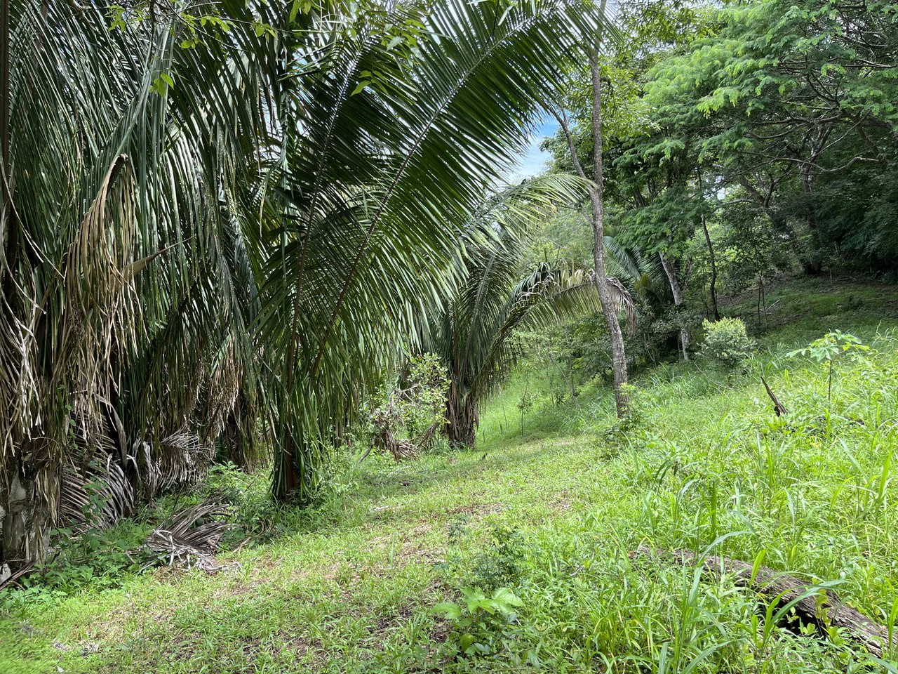 6 Acres Ready for Development in Samara - Gallery image 7