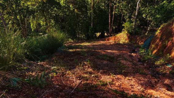 Near the Coast Home Construction Site For Sale in Bahía Ballena - Gallery image 4