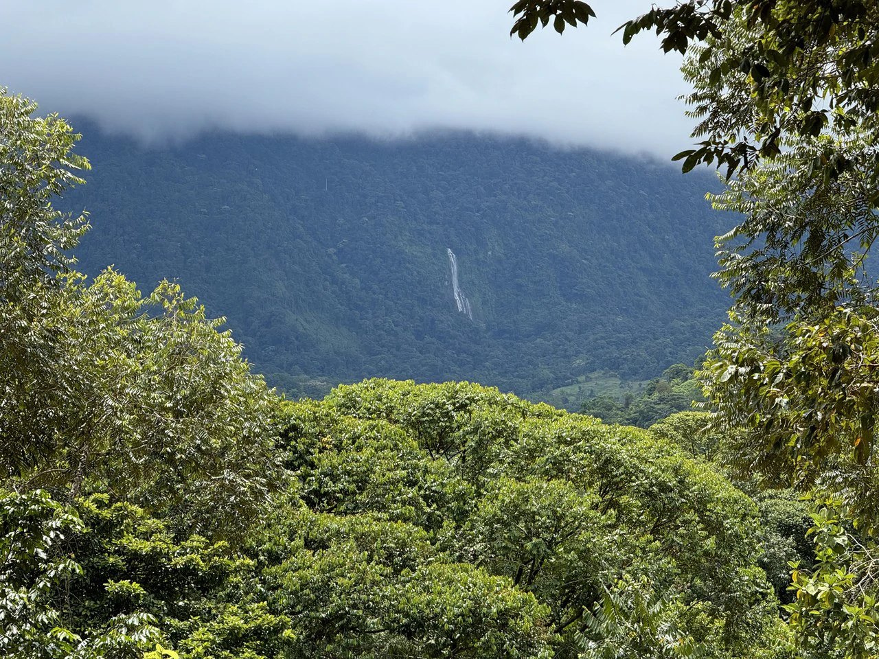 Diamante Waterfall View Land in Dominical 2.9 Acres - Gallery image 28