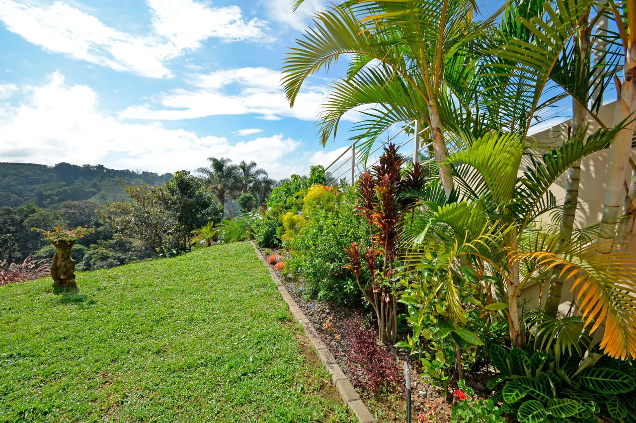 TURNKEY INVESTMENT PROPERTY IN GRECIA - Gallery image 10