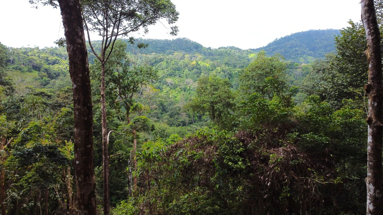 Mountain View Building Lot in Prestigious Gated Community With Private Waterfall & Two Building Sites: Mountain Home Construction Site For Sale in Portalon - Gallery image 10