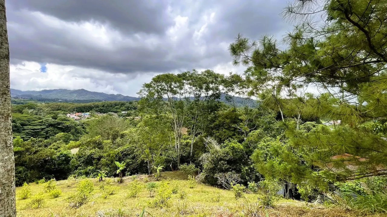 LAND FOR SALE IN SAN MIGUEL, NARANJO - Gallery image 10