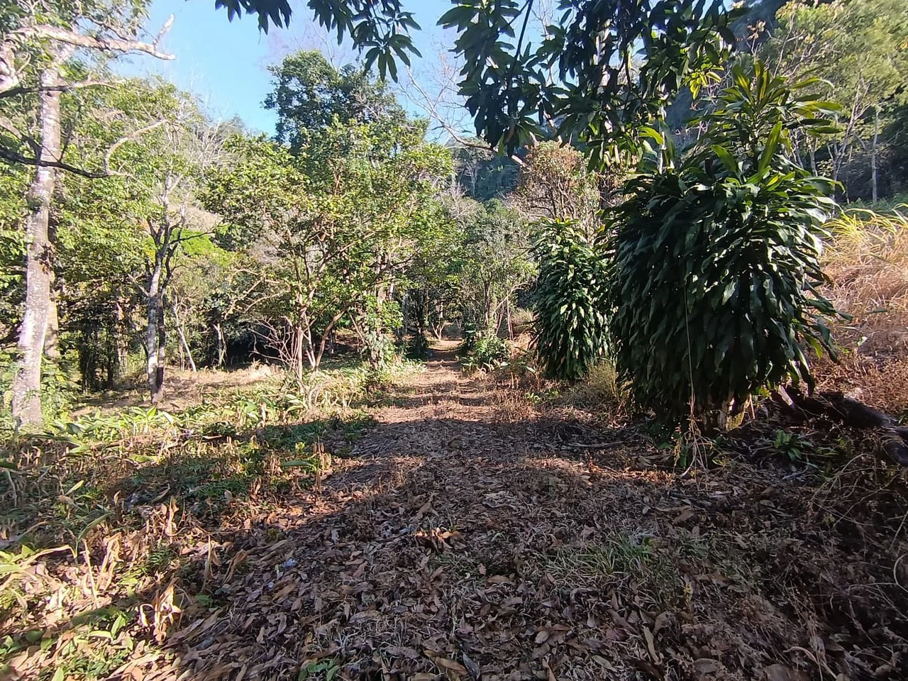 Property for sale in Ciudad Colon San José Costa Rica - Gallery image 2