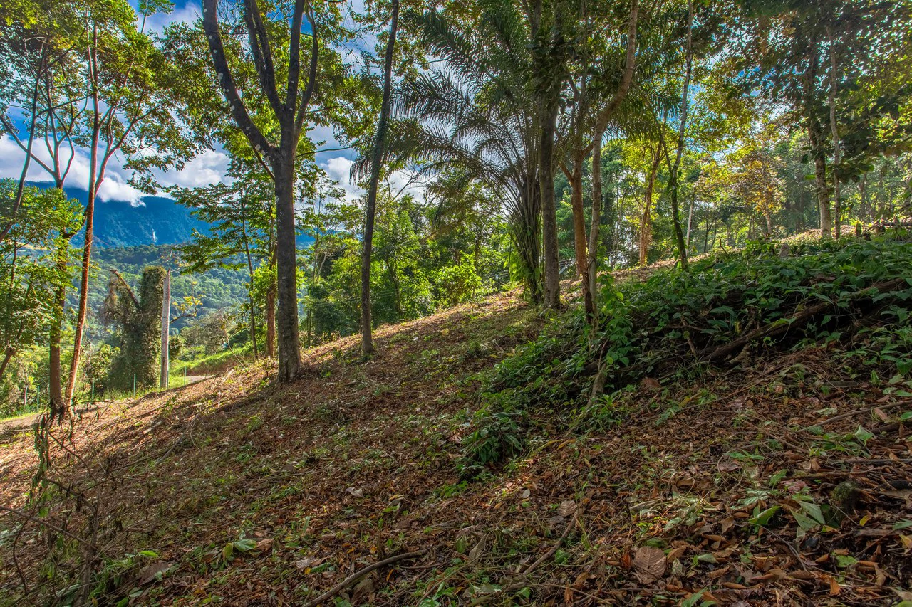 2.9 Acre Paradise with Diamante Valley Views Dominical - Gallery image 24