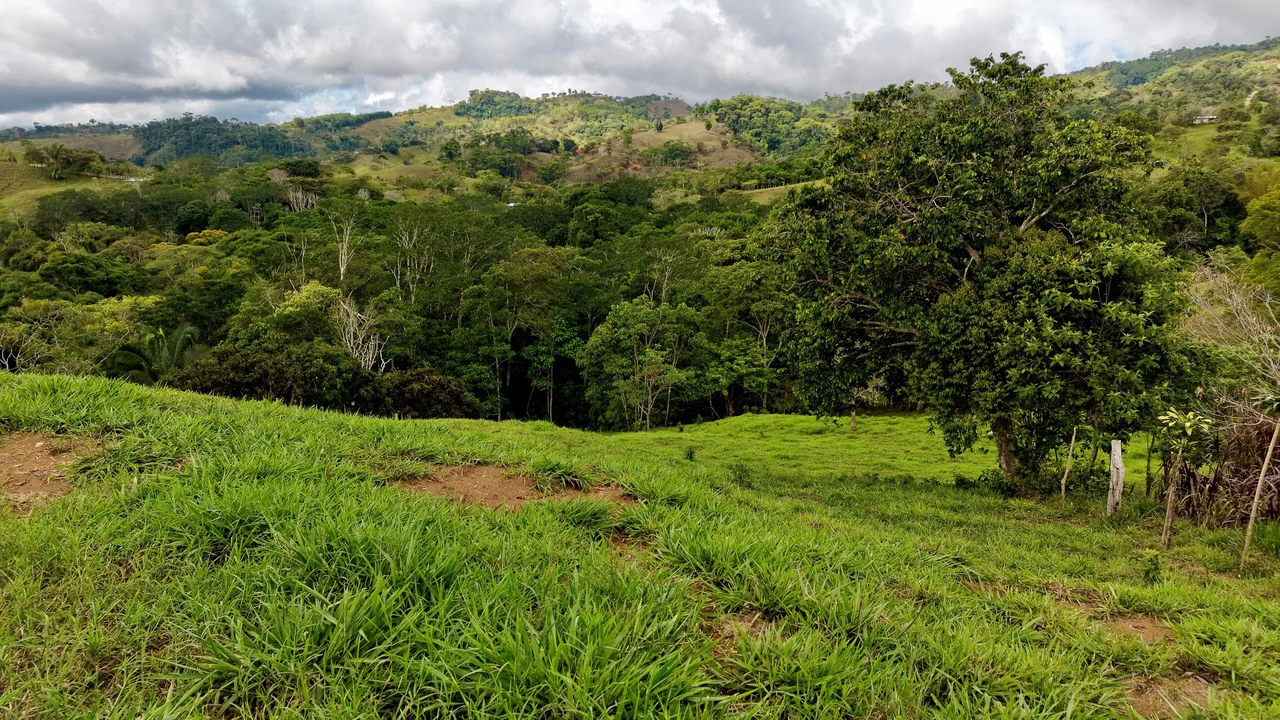 Countryside Home Construction Site For Sale in Centro de Pérez Zeledón - Gallery image 8